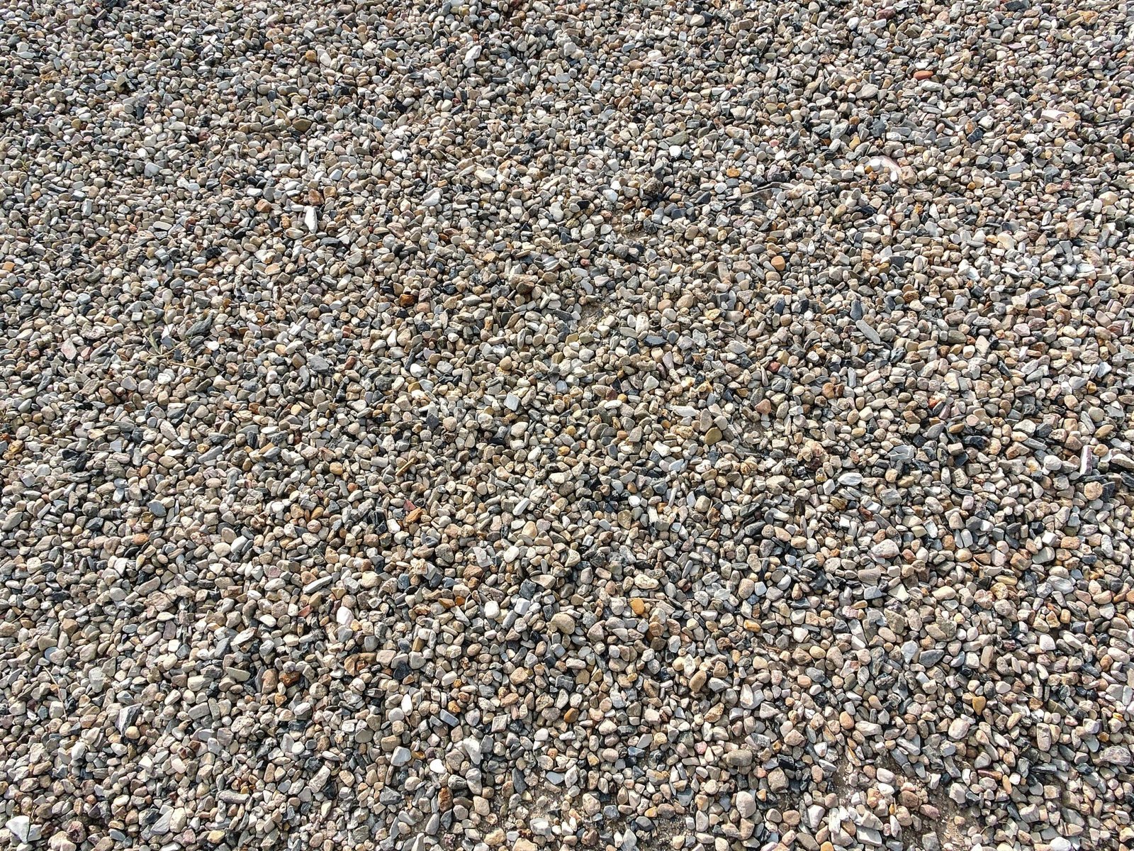 project-3 Detailed texture of small gravel stones in a dry setting.